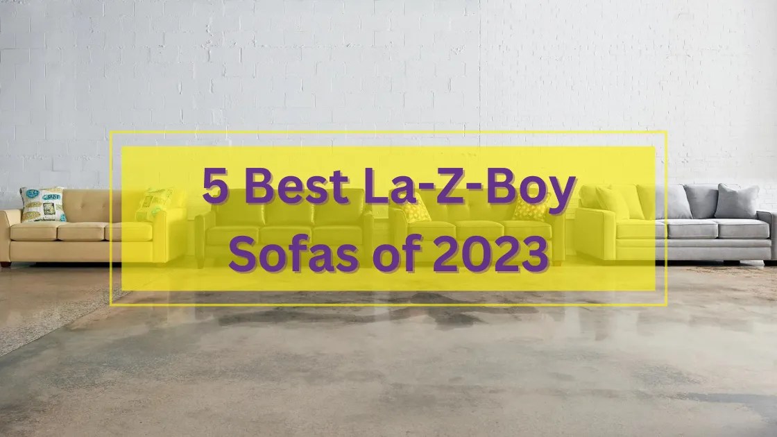 The 5 Best LaZBoy Stationary and Reclining Sofas in 2023 Ottawa